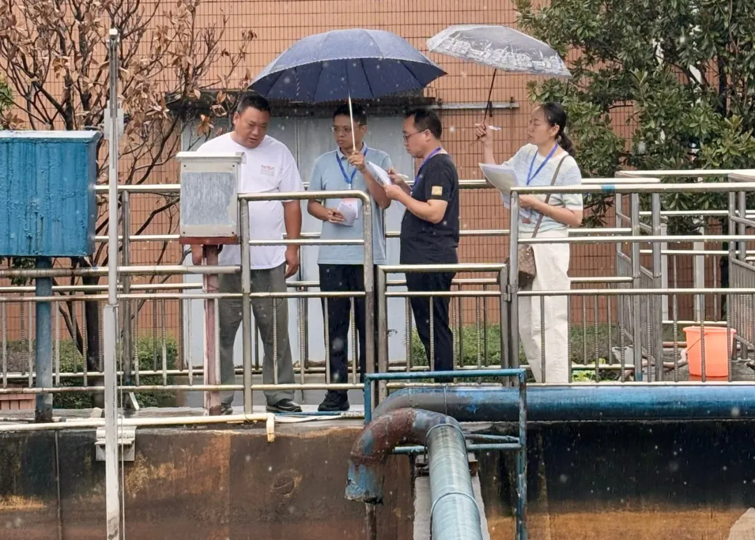 640 (2).webp (3).png